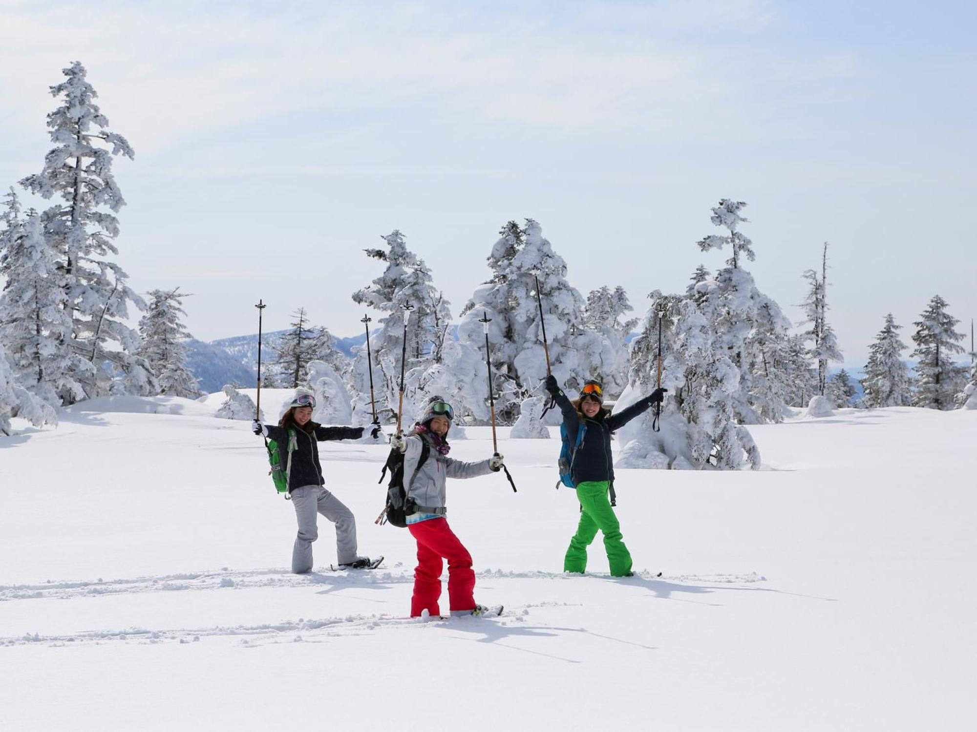 Sachinoyu Hotel Shiga Kogen Яманути Экстерьер фото