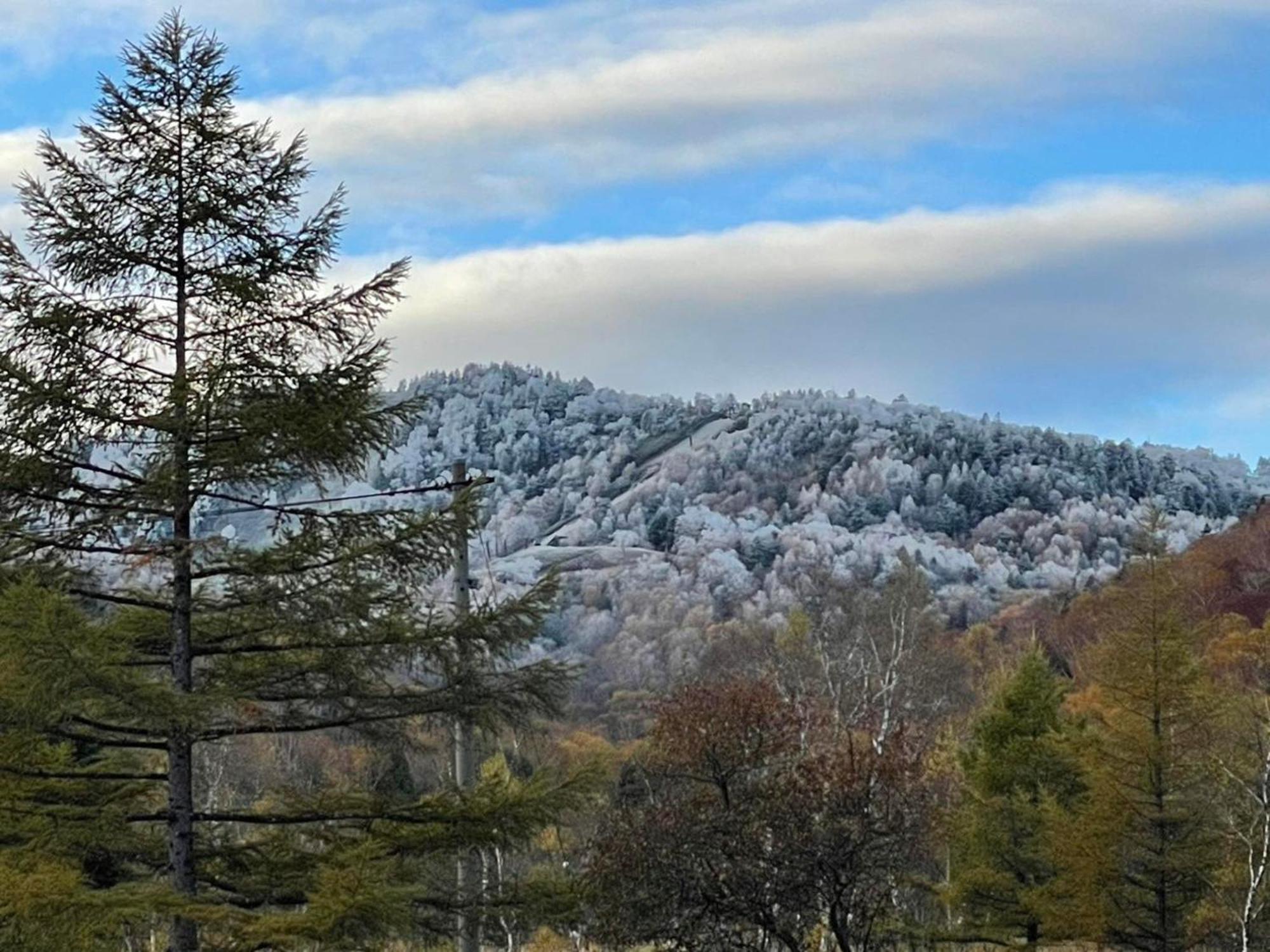 Sachinoyu Hotel Shiga Kogen Яманути Экстерьер фото