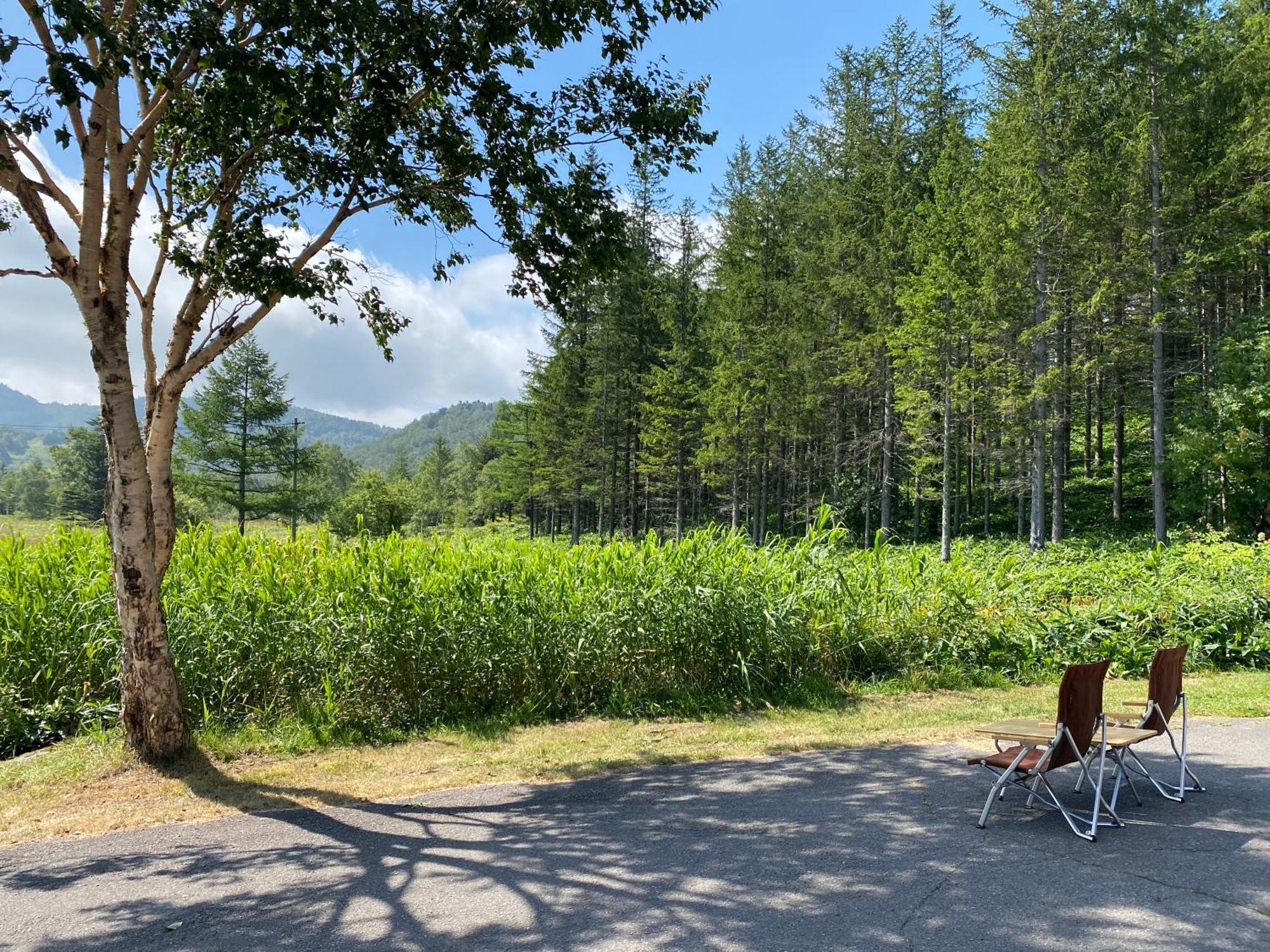Sachinoyu Hotel Shiga Kogen Яманути Экстерьер фото